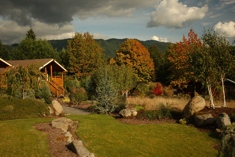 Carson Ridge Luxury Cabins المظهر الخارجي الصورة