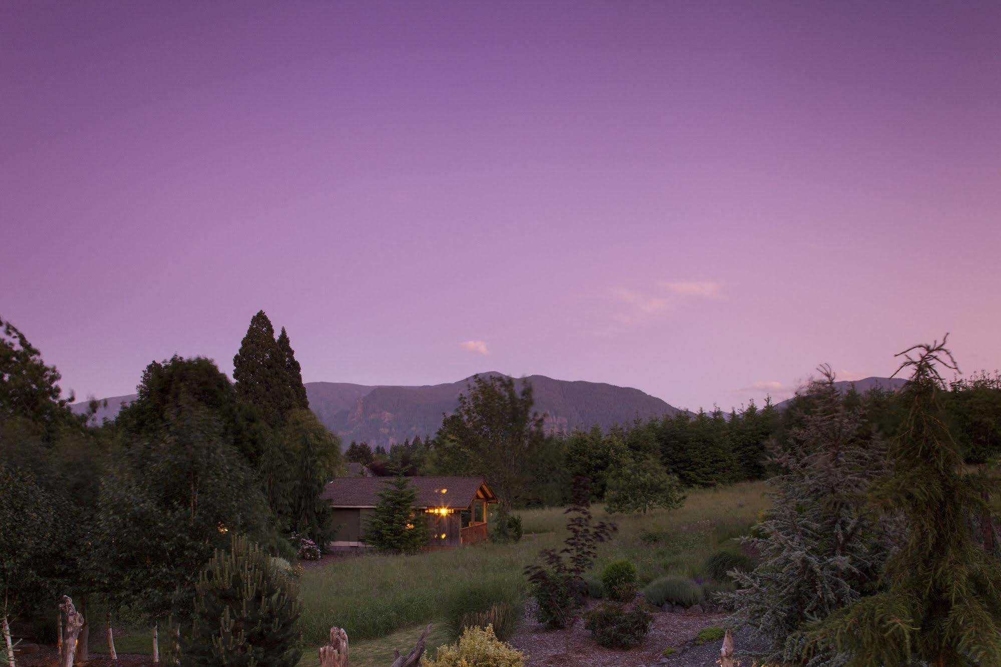 Carson Ridge Luxury Cabins المظهر الخارجي الصورة