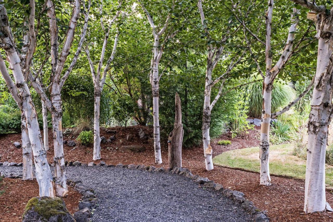 Carson Ridge Luxury Cabins المظهر الخارجي الصورة